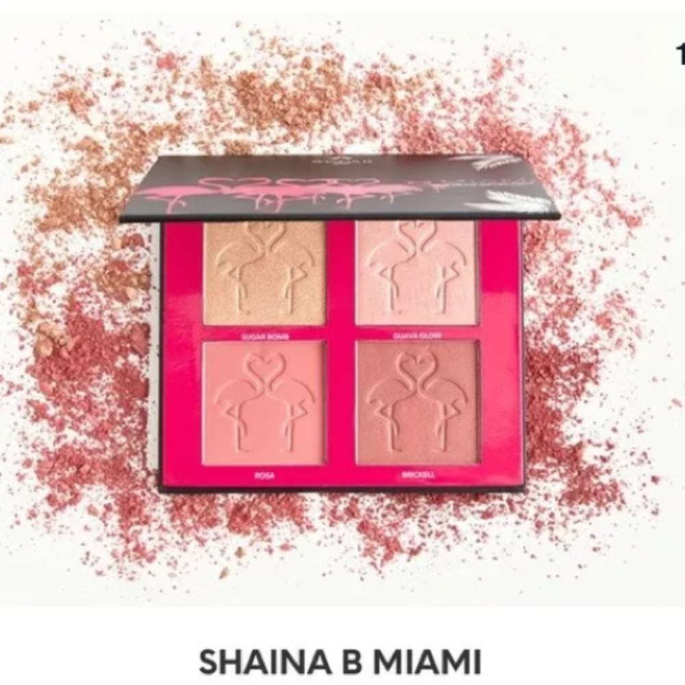 Shaina B Miami Palette